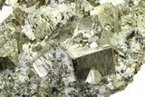 Gleaming Pyrite Crystals with Chalcopyrite and Quartz - Peru #325626-2